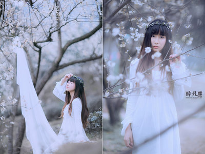 醉·凡塵 鏡頭下的人間煙火