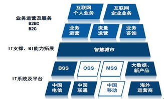 天源迪科（300047）更新研究報告 聚焦政企與運營商雙輪驅動，深化軟件外包服務布局
