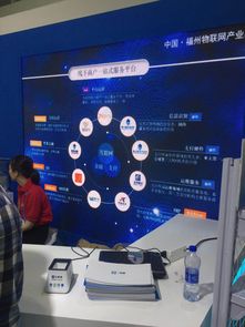 聚合支付技術(shù)亮相首屆數(shù)字中國建設(shè)峰會，四九八網(wǎng)絡科技引領(lǐng)網(wǎng)絡服務創(chuàng)新