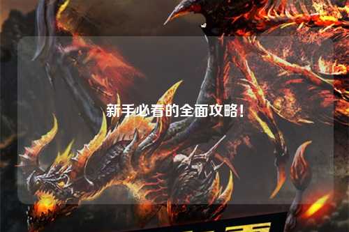 新手必看的全面攻略！