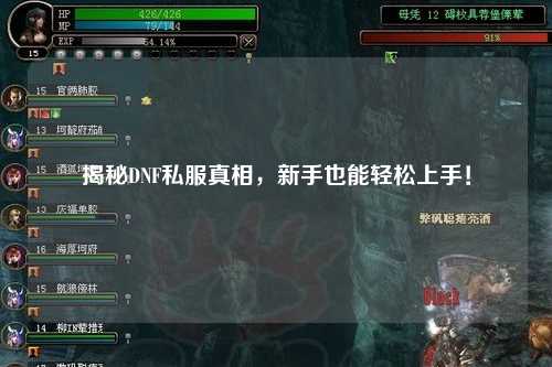 揭秘DNF私服真相，新手也能輕松上手！