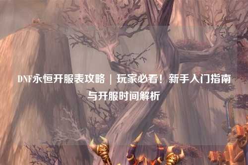 DNF永恒開服表攻略 | 玩家必看！新手入門指南與開服時間解析