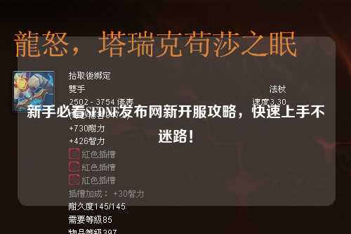 新手必看SFDNF發(fā)布網(wǎng)新開服攻略，快速上手不迷路！