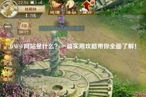 DNFSF網站是什么？一篇實用攻略帶你全面了解！