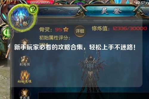 新手玩家必看的攻略合集，輕松上手不迷路！