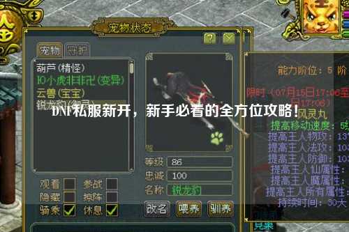 DNF私服新開，新手必看的全方位攻略！