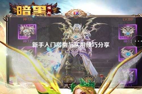 新手入門指南與實(shí)用技巧分享?