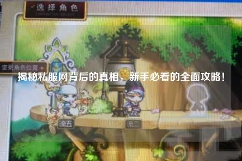 揭秘私服網背后的真相，新手必看的全面攻略！