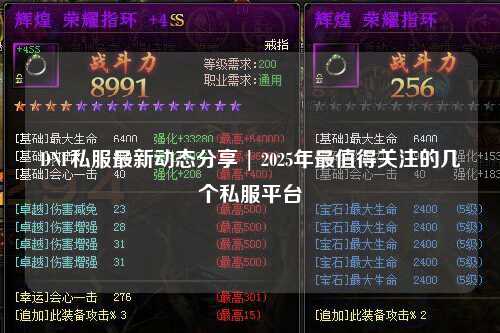 DNF私服最新動態(tài)分享 | 2025年最值得關(guān)注的幾個私服平臺