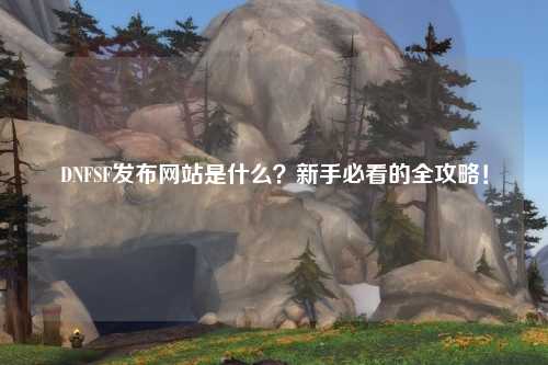 DNFSF發布網站是什么？新手必看的全攻略！