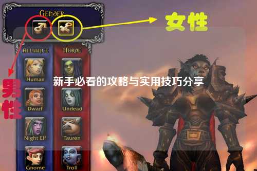 新手必看的攻略與實(shí)用技巧分享