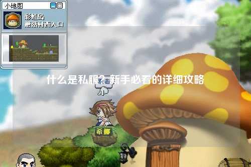 什么是私服？新手必看的詳細攻略