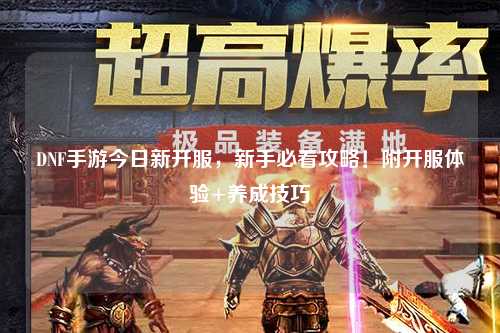 DNF手游今日新開服，新手必看攻略！附開服體驗+養(yǎng)成技巧