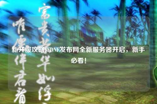 新開服攻略SFDNF發(fā)布網(wǎng)全新服務(wù)器開啟，新手必看！