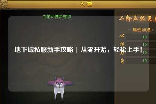 地下城私服新手攻略 | 從零開(kāi)始，輕松上手！