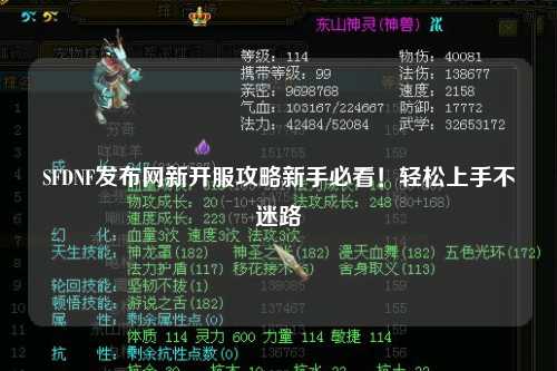 SFDNF發(fā)布網(wǎng)新開服攻略新手必看！輕松上手不迷路