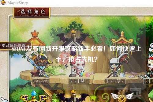 SFDNF發(fā)布網(wǎng)新開(kāi)服攻略新手必看！如何快速上手，搶占先機(jī)？