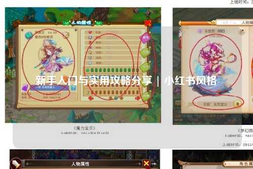 新手入門與實用攻略分享 | 小紅書風格