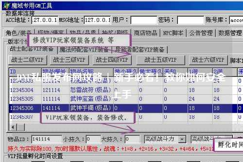 DNF私服發布網攻略 | 新手必看！教你如何安全上手