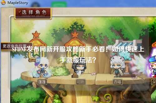 SFDNF發布網新開服攻略新手必看！如何快速上手新服玩法？