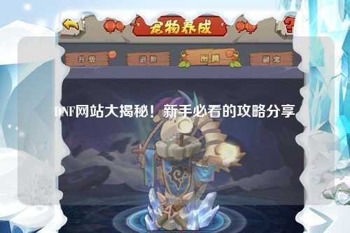 DNF網站大揭秘！新手必看的攻略分享?