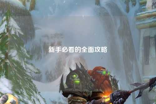 新手必看的全面攻略