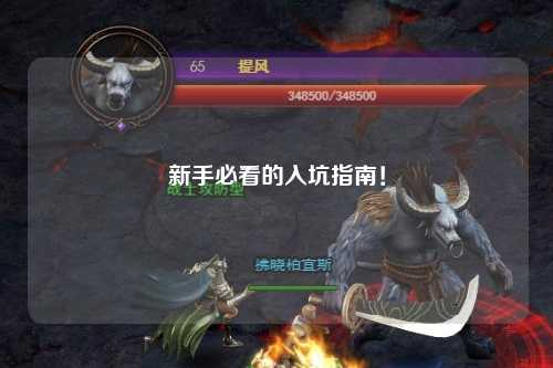 新手必看的入坑指南！