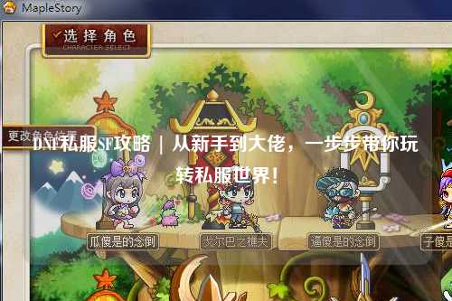DNF私服SF攻略 | 從新手到大佬，一步步帶你玩轉私服世界！