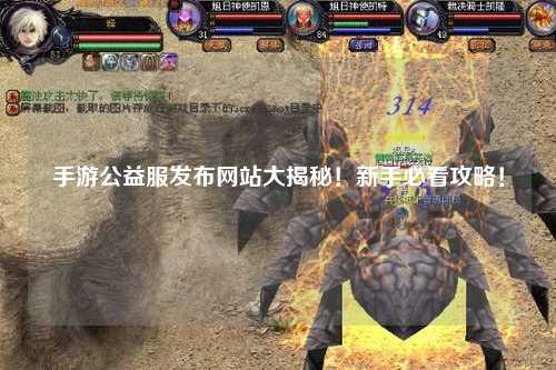 手游公益服發布網站大揭秘！新手必看攻略！