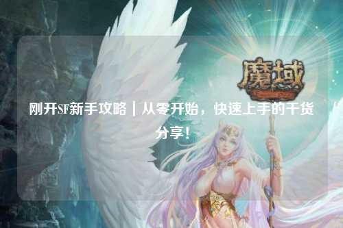 剛開(kāi)SF新手攻略｜從零開(kāi)始，快速上手的干貨分享！